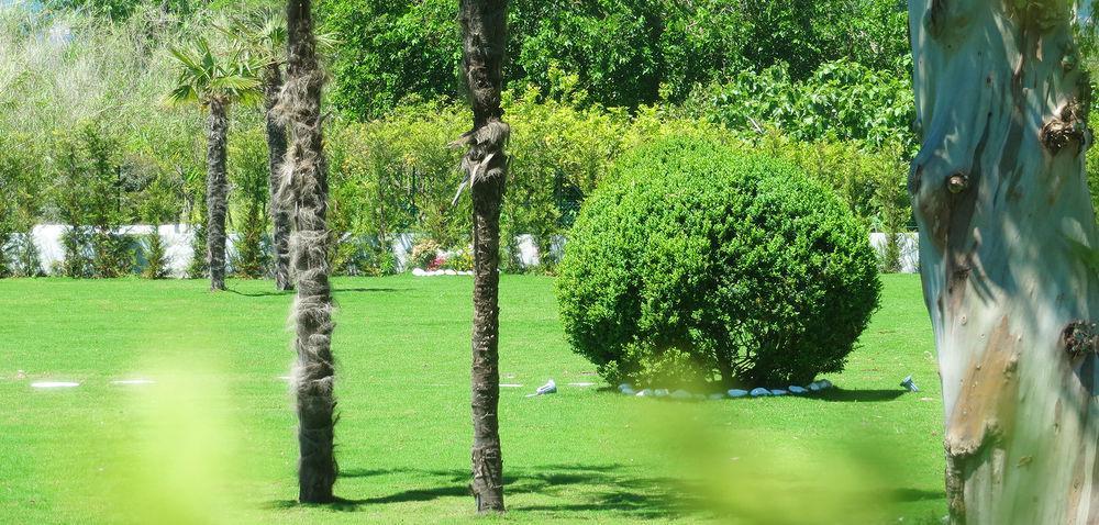 Hotel Eden Park Cilento Ispani Exteriör bild